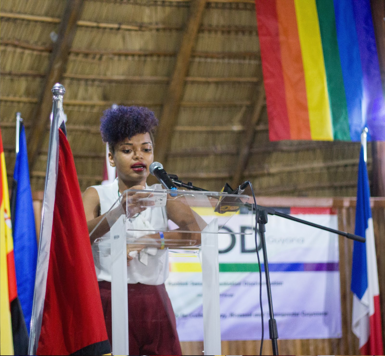 SASOD Guyana IDAHOT Remarks by SWAG Member Akola Thompson