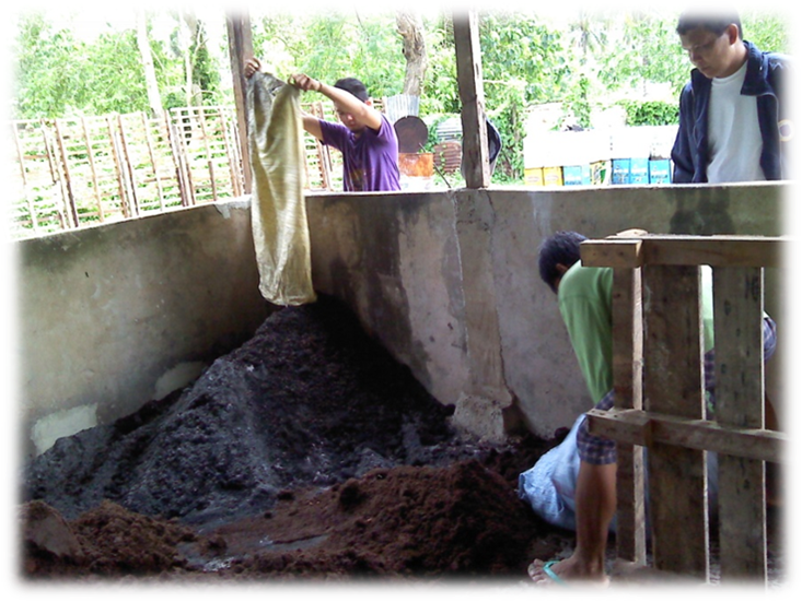 Agrikulturistang Pinoy: Biomix No wash Pig Technology