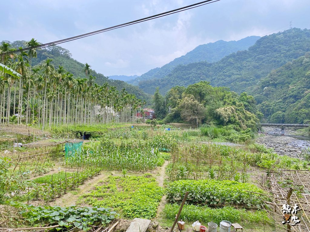沒店名的炒野菜秘境餐廳三峽山上美食只賣星期天的大豹溪旁隱藏版美食餐廳