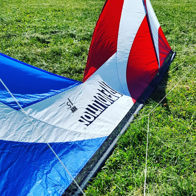 Revolution kites kites