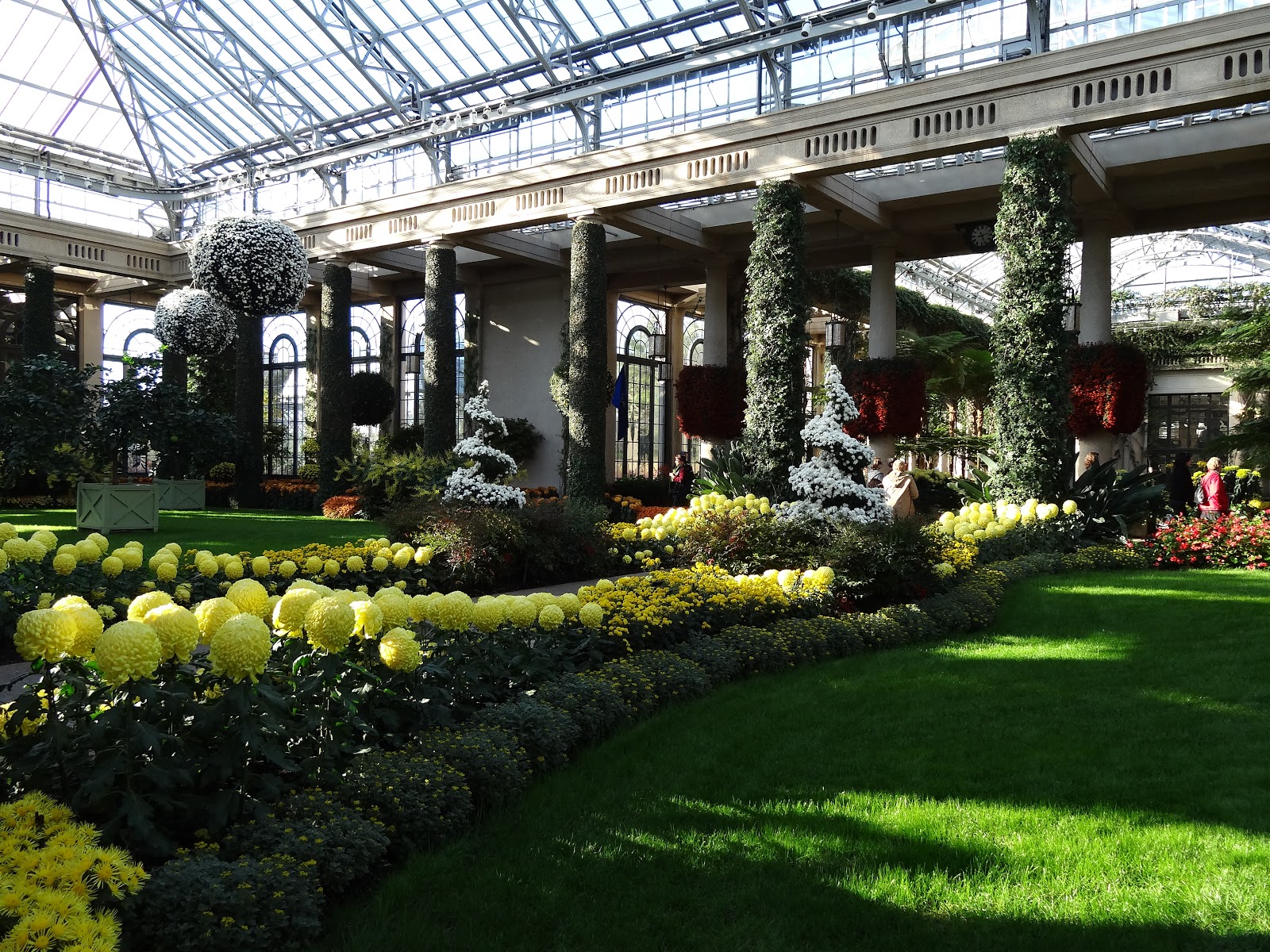 Love, Joy and Peas Gardens & Conservatories Day 17 of 30 Days of