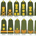 List Of Top 5 Nigeria Military Ranks