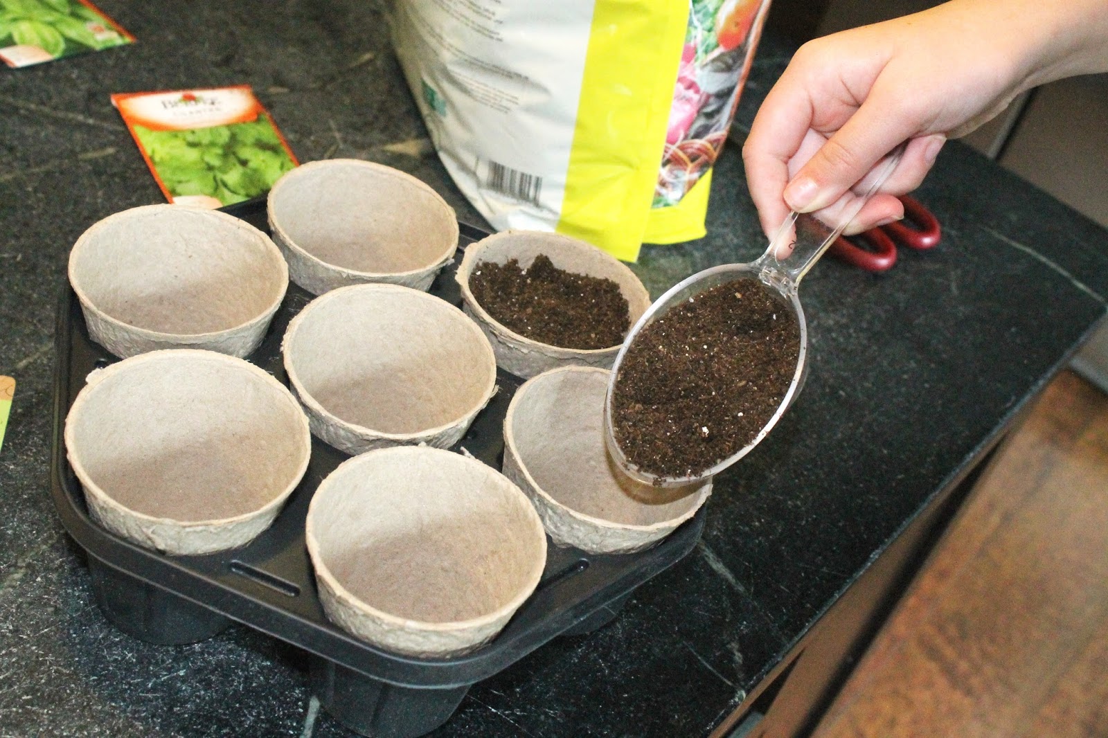 Target 'Dollar Bin' Herb Garden The Unique Nest
