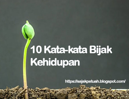 10 Kata-Kata Bijak Kehidupan | Sajak Petuah