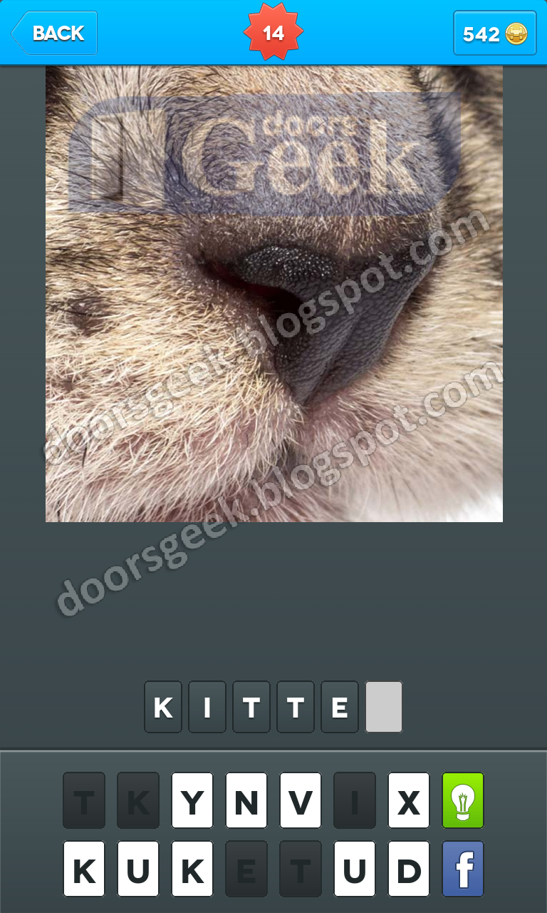 Zoomed In Photo Word Game Level 14 Doors Geek