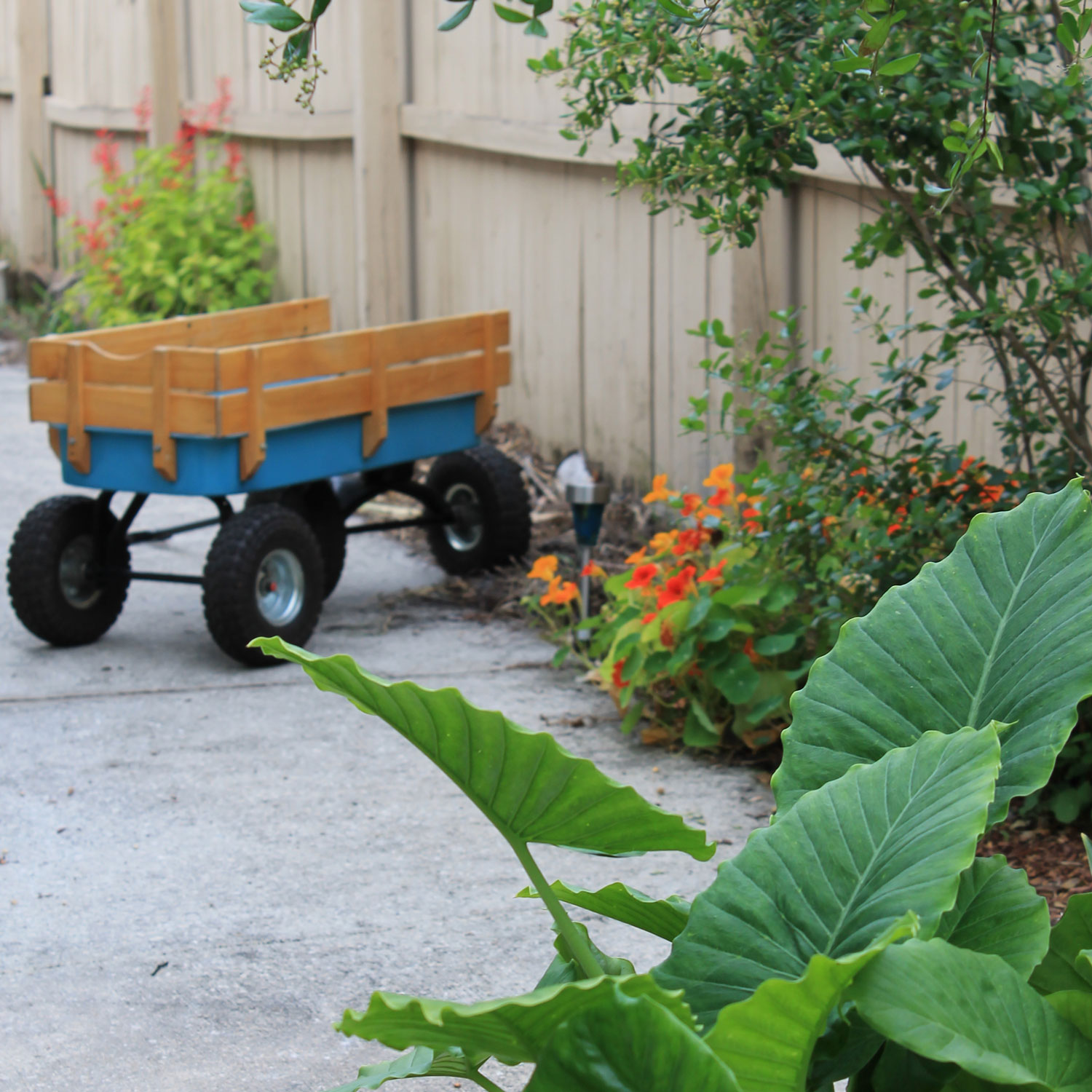 How to Garden recommendations How to Garden recommendations