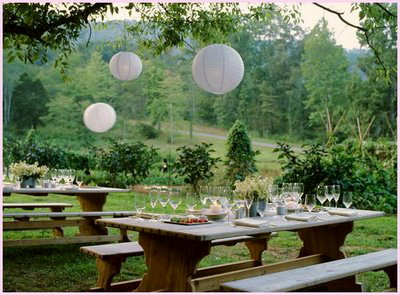 outdoor dining table picnic under area farm blackberry jet tree nice