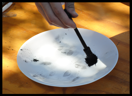 Latent Fingerprint Development Techniques: Magnetic Powder