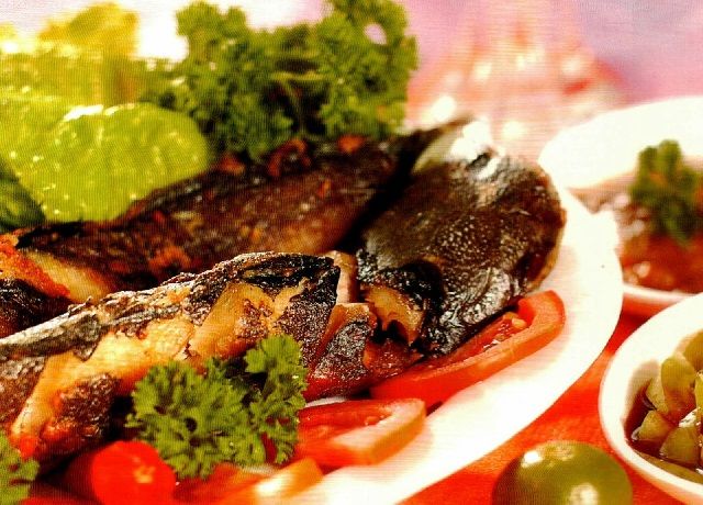 Cara Masak Ikan Lele Panggang Sederhana dan Istimewa Cara Masak Ikan Lele Panggang Sederhana dan Istimewa