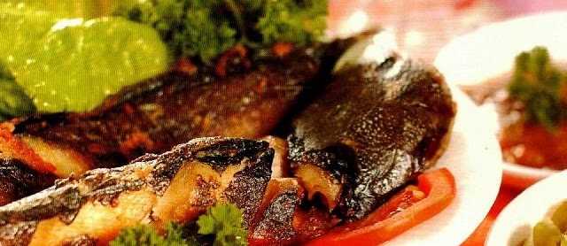 Cara Masak Ikan Lele Panggang Sederhana dan Istimewa