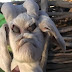 Terrified Locals  Call Police to Arrest Goat Born With Demonic Face... lol 