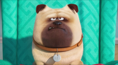 the secret life of pets watch online with subtitles