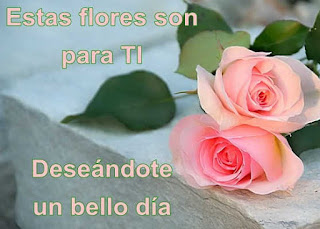 Imagenes De Rosas Con Buenos Dias Imagenes De Rosas Con Buenos Dias