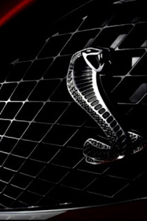 iphone  background wallpaper