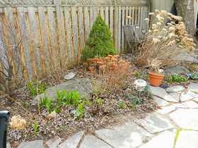 Leslieville spring garden clean up before Paul Jung Gardening Services Toronto