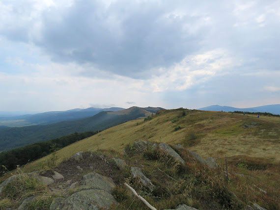 Drohobycki Kamień (Дрогобицький Камінь; 1186 m n.p.m.)