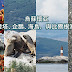 【阿根廷】烏蘇懷亞 燈塔、企鵝、海鳥,與比爾根海峽