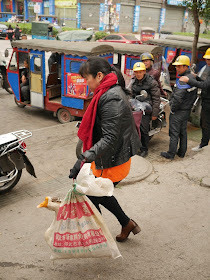 woman carrying a bag with a love goose sticking out its head