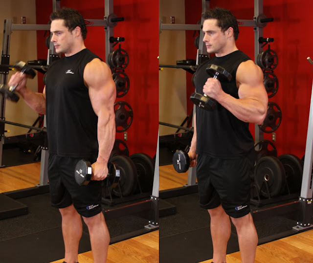Hammer Curls Biceps Workout Hammer Curls Biceps Workout