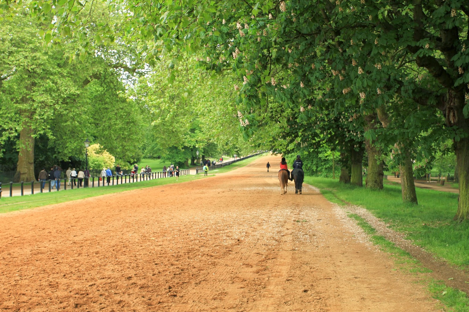 We Have Moved Cherry Court Hotel, Harrods, Hyde Park, Oxford Street