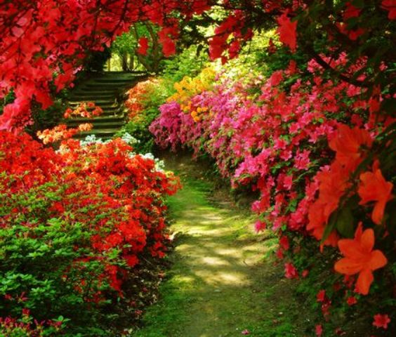 Pictures Of Beautiful Flowers Gardens Pictures Of Beautiful Flowers Gardens