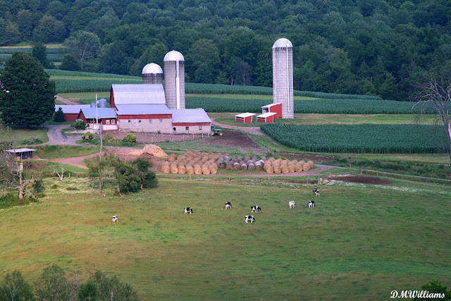 Bradford County, PA farm