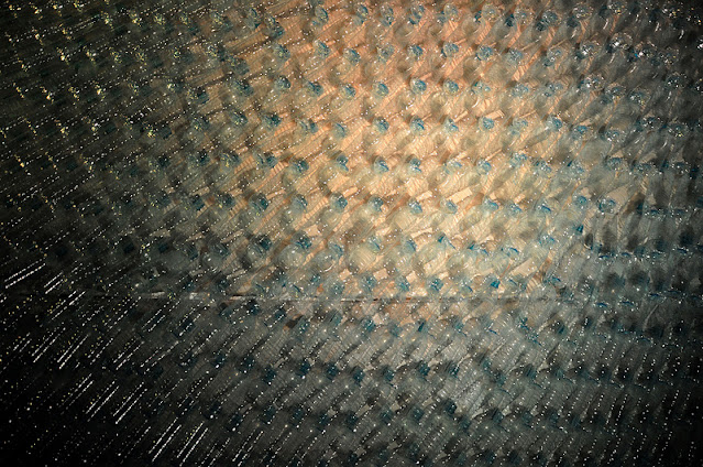 Γλυπτά Ψάρια Φτιαγμένα από πεταμένα πλαστικά μπουκάλια