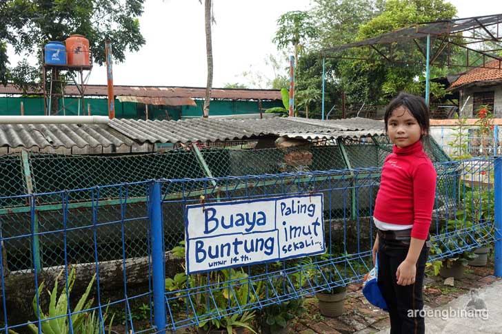 taman buaya indonesia jaya bekasi