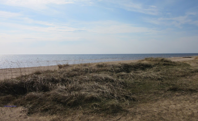 Sea shore in Latvia