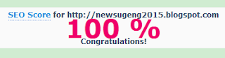 skor seo 100%