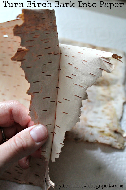 Sylvie Liv: How To Turn Birch Bark Into Paper