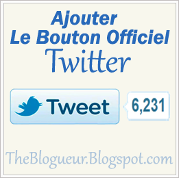 Bouton Officiel Twitter