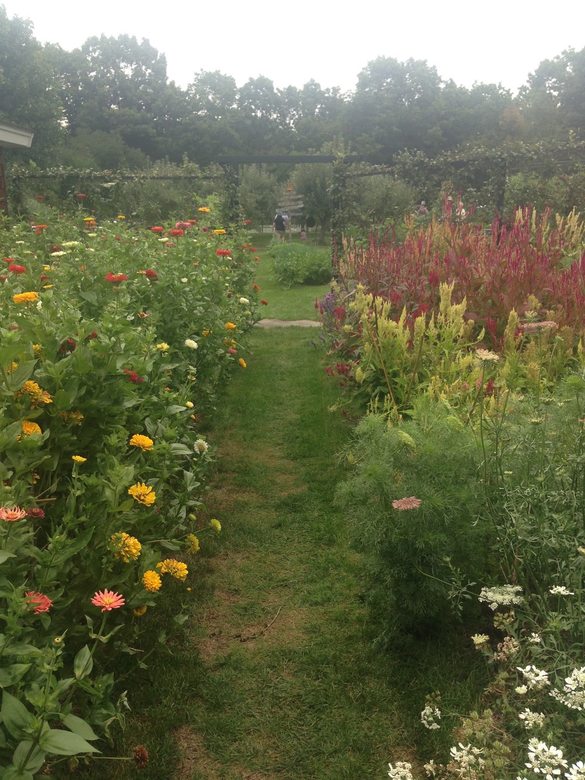 In a Garden Gardens at Clock Barn—Home of Maureen & Mike Ruettgers