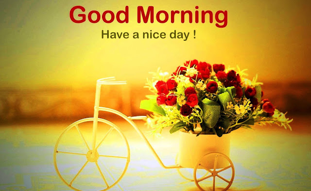 good morning rose for girlfriend good morning rose for girlfriend