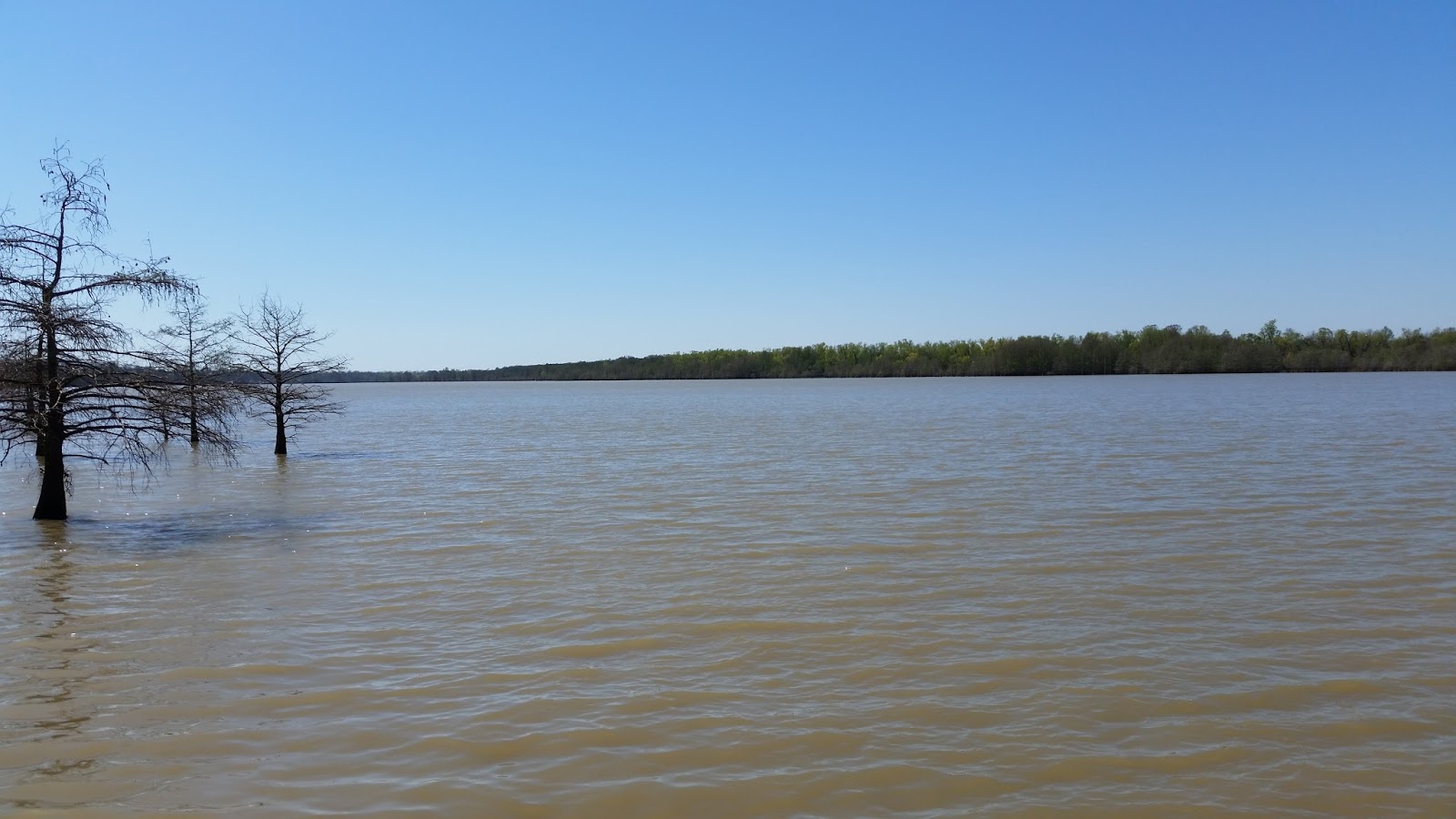 Shifting Gears Lake Chicot State Park