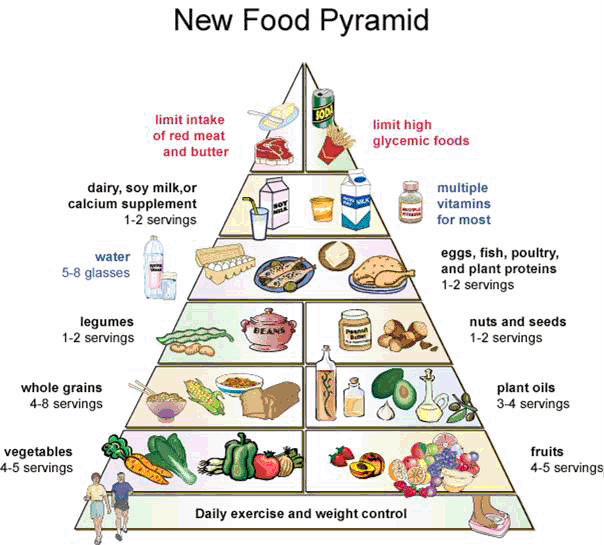 just a marine Another food pyramid