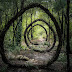 Artist Spent One Year All Alone In The Woods To Create Amazing Surreal Sculptures Using Organic Materials
