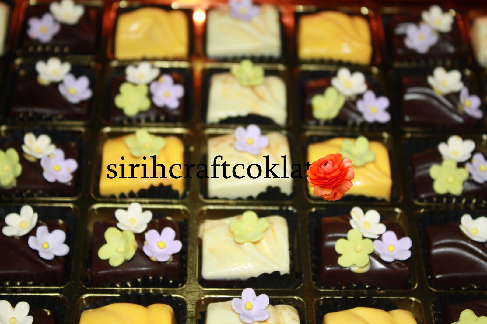 coklat