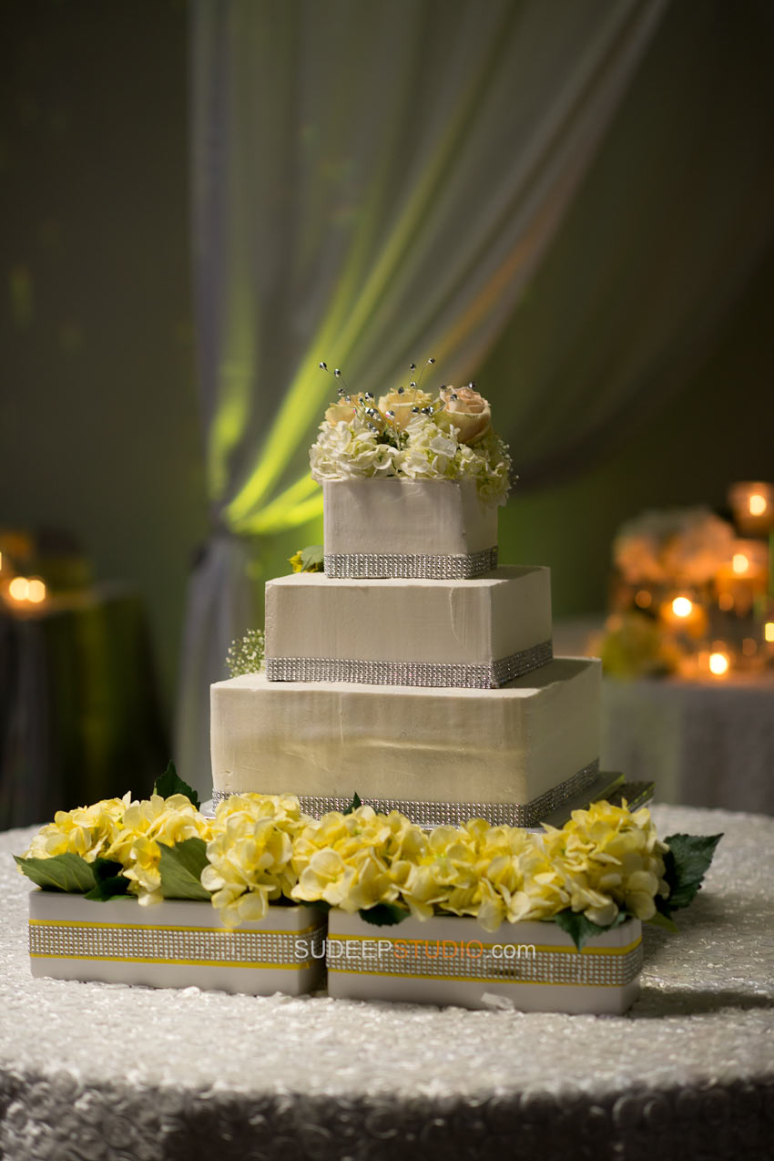 Detroit Downtown River Wedding Cake Photography - Sudeep Studio.com
