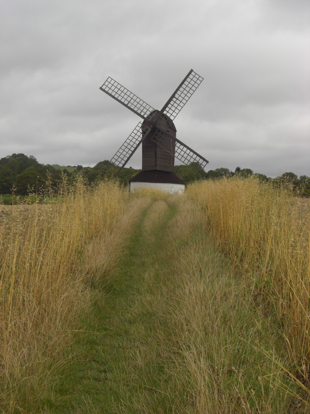 That Rambling Woman Pitstone Windmill To Down Farm (Circular Walk)