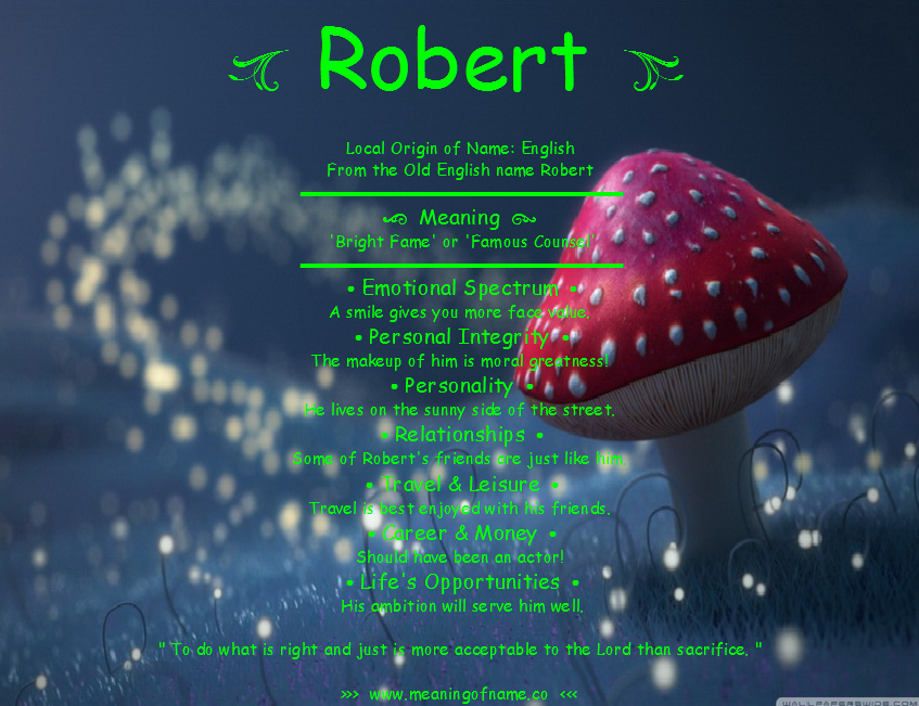 Robert Meaning of Name