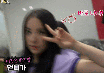 1.gif