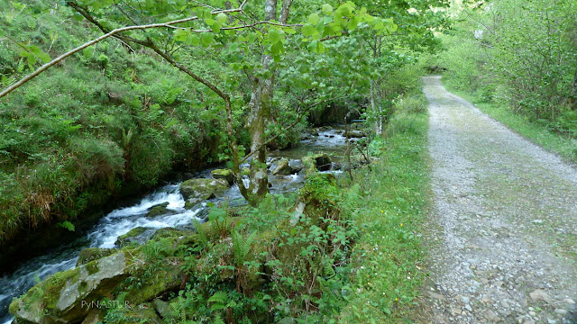 Rio Infierno - Reserva de La Biosfera Rio Infierno - Reserva de La Biosfera