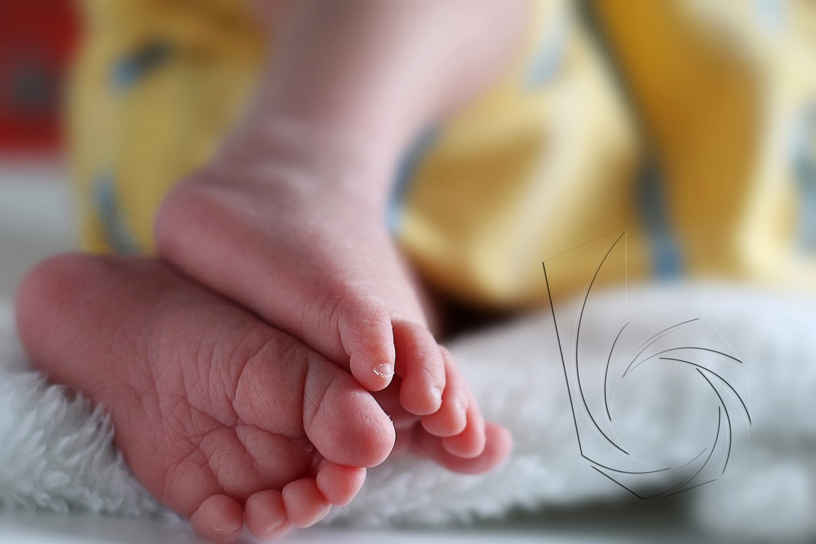 fotografos de bebes fotografos de bebes