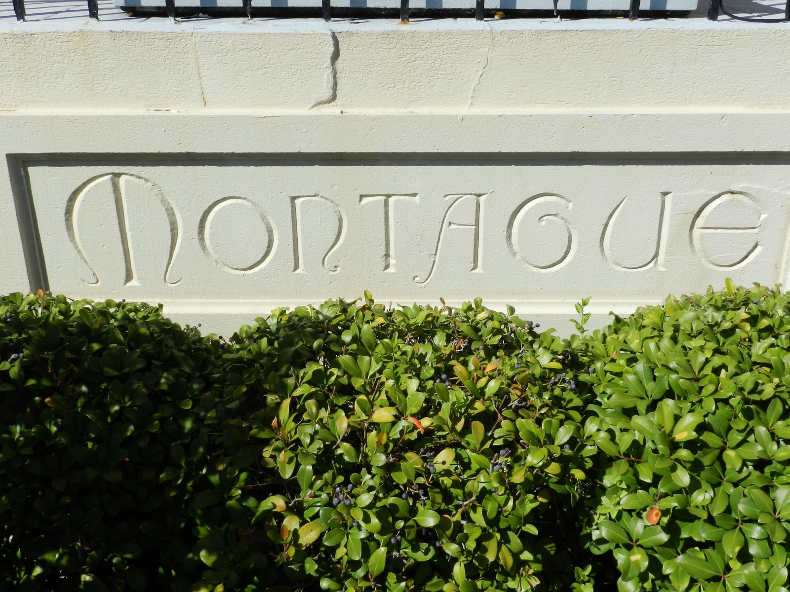 Mike's Historic Buildings St. Johns Quarter Montague Place Apartments