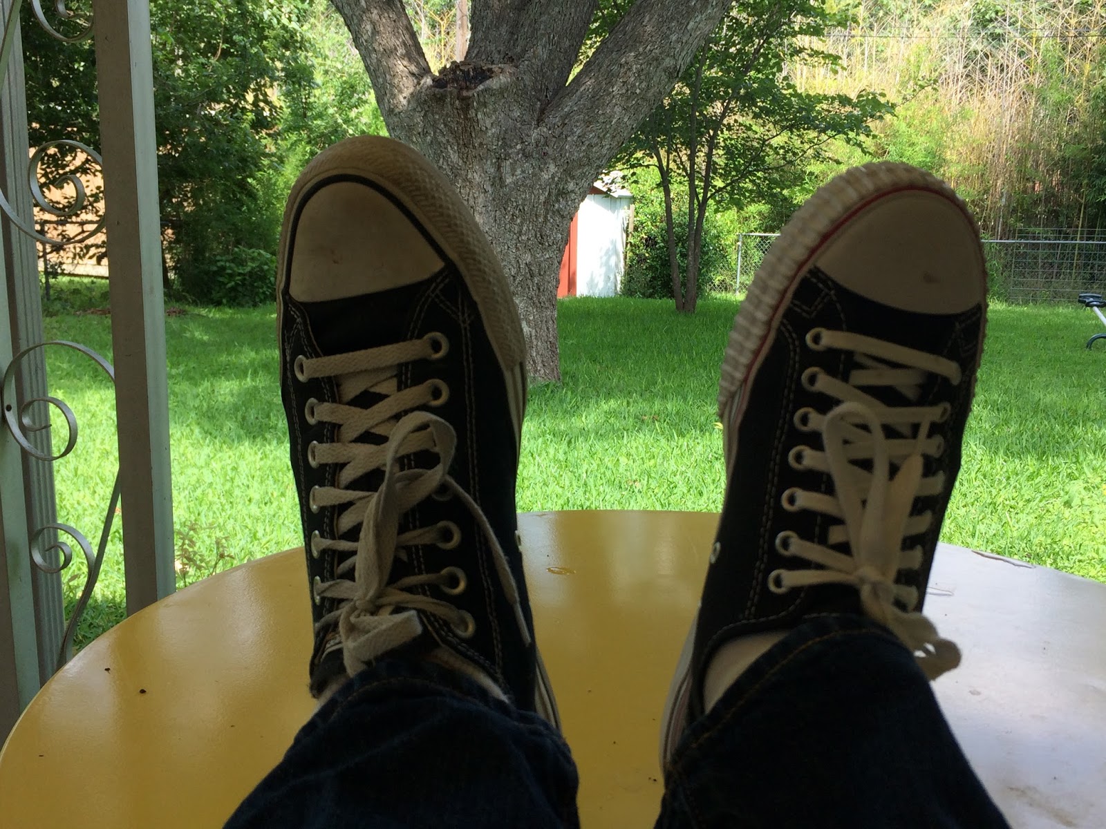 tyrannosaurus ranch june 2017 how to stop squeaks in my pf flyers