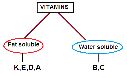 vitamin e deficiency diseases name