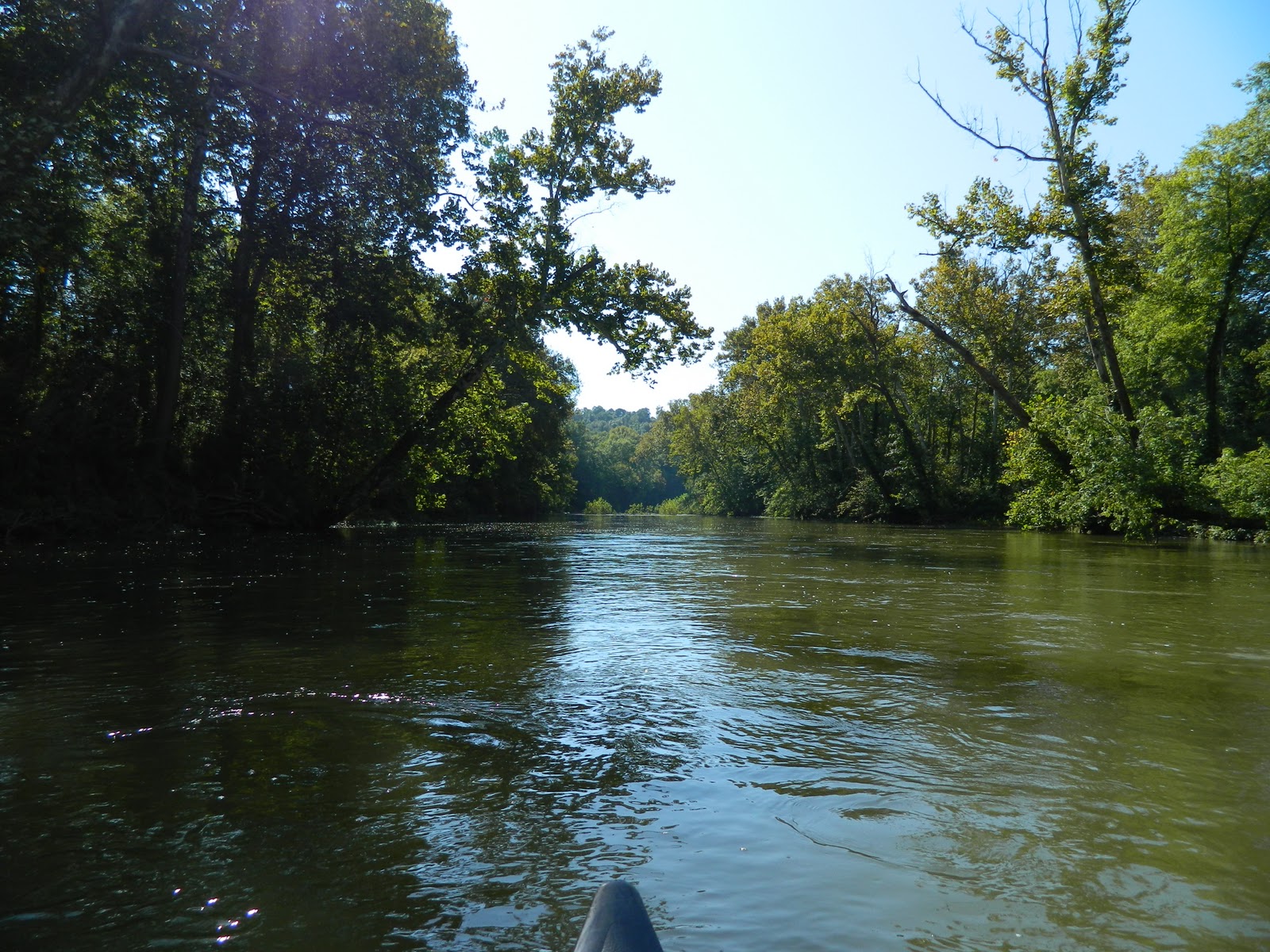 Paddle Tennessee Duck River Carpenters Bridge to Leftwich Bridge