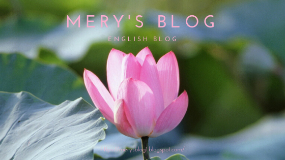 Mery's blog