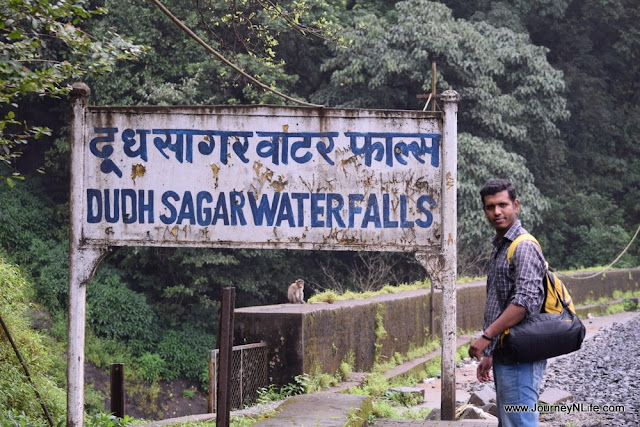 Dudhsagar Waterfalls Trek - One of India's Tallest Waterfalls